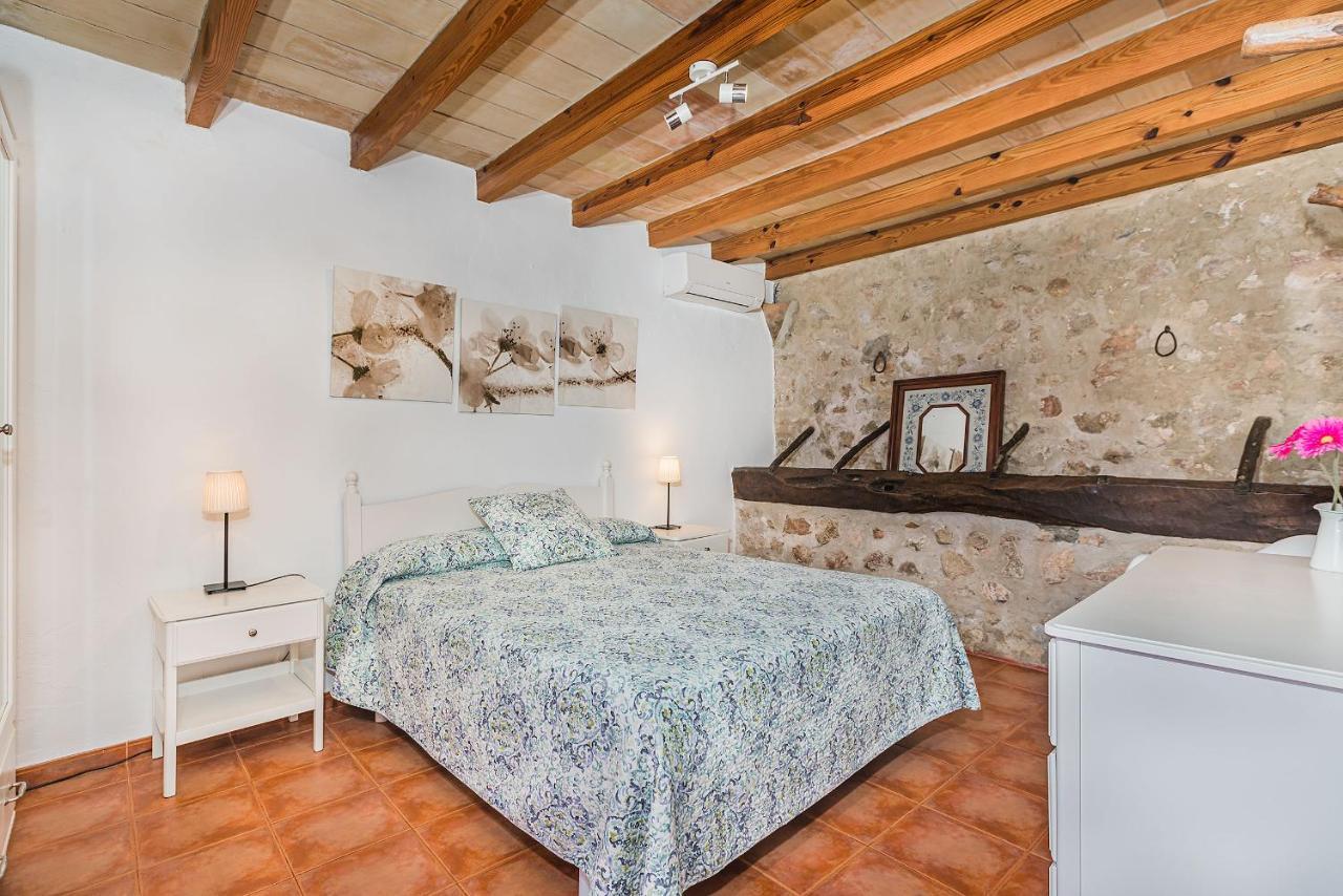 Cati Camp De Lausina
